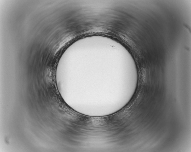 X0000102261258200808151832