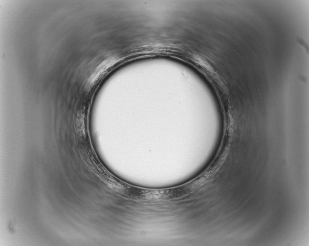 X0000102261259200808151832