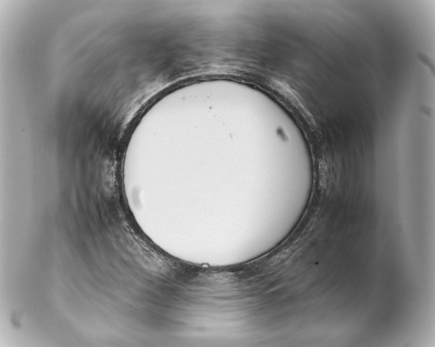 X0000102261260200808151832