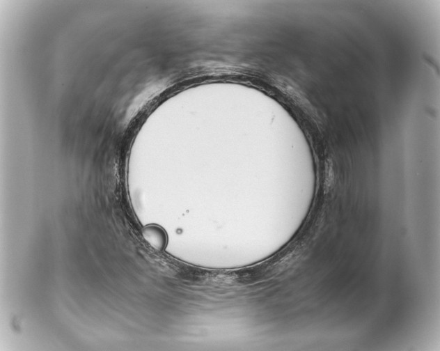 X0000102261261200808151832