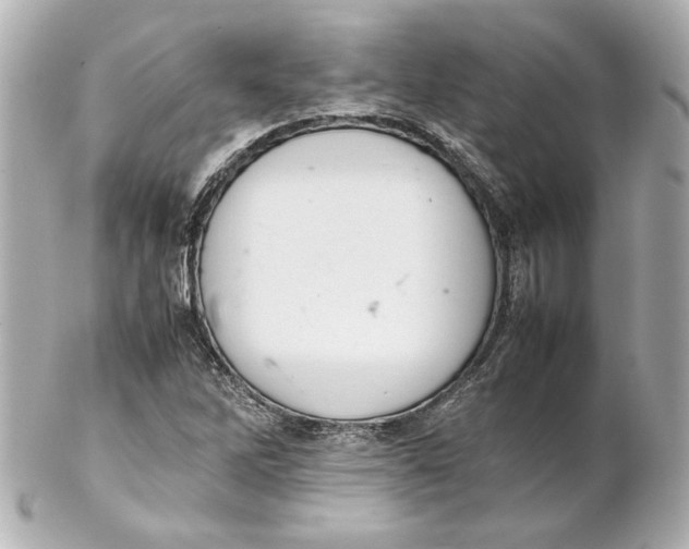 X0000102261262200808151832