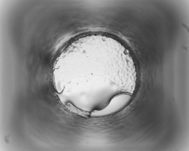 X0000102261263200808151832