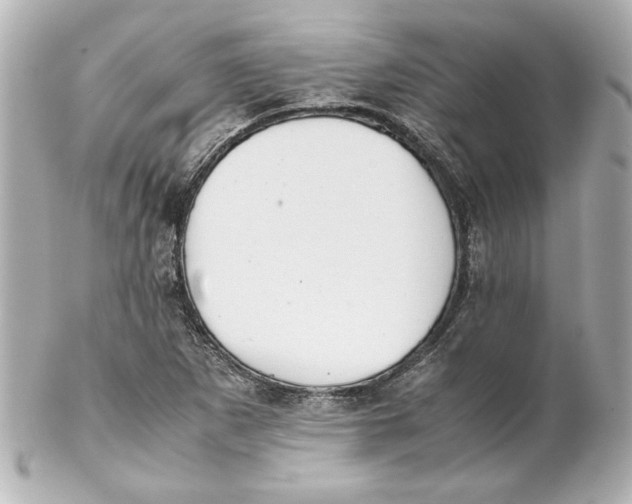 X0000102261265200808151832