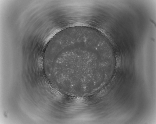 X0000102261266200808151832