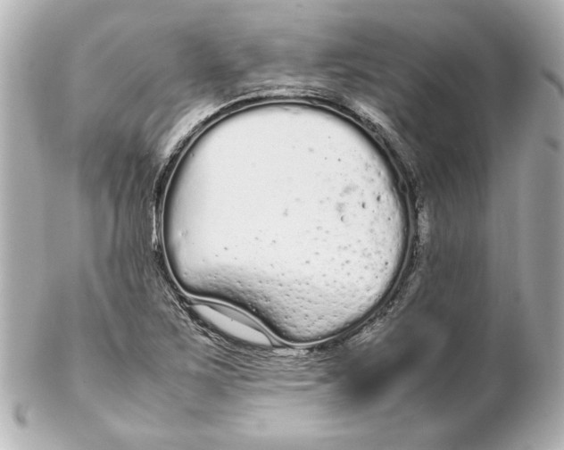 X0000102261267200808151832