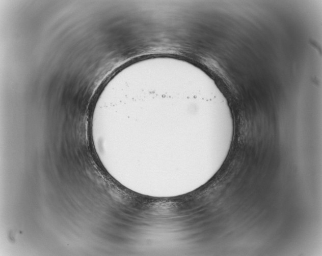 X0000102261268200808151832