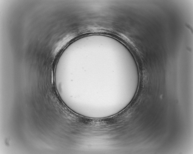 X0000102261269200808151832