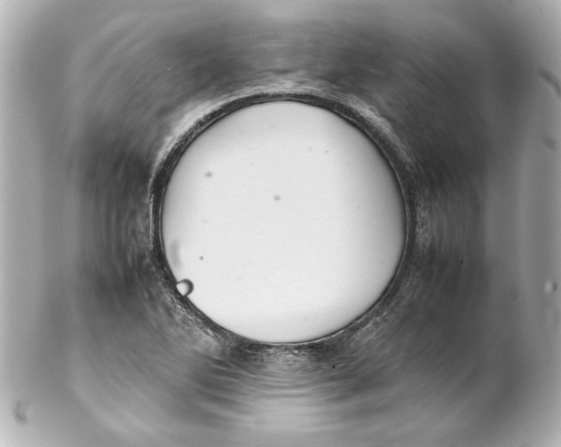 X0000102261270200808151832