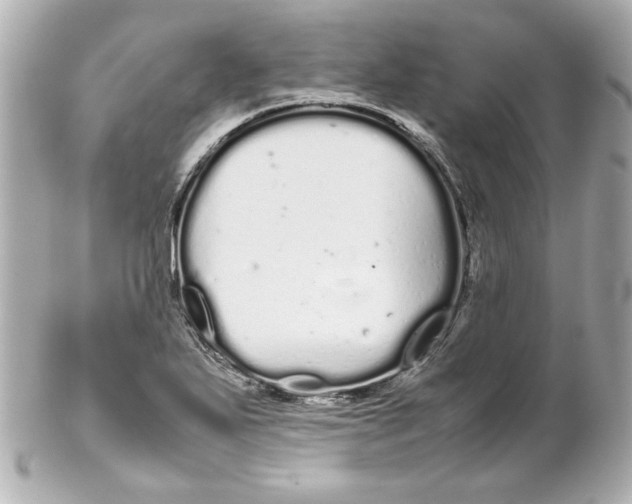 X0000102261271200808151832