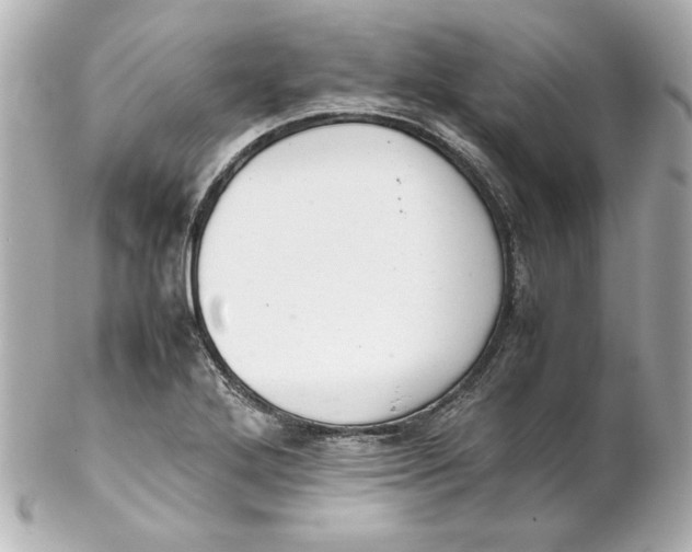 X0000102261272200808151832