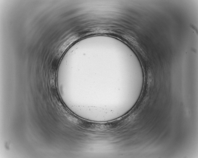 X0000102261273200808151832