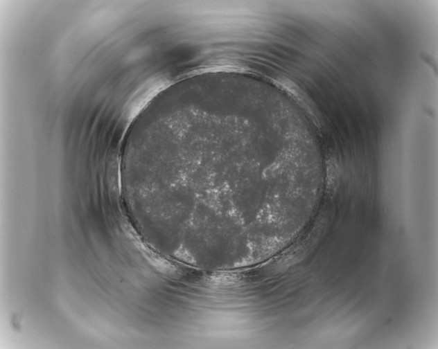 X0000102261274200808151832