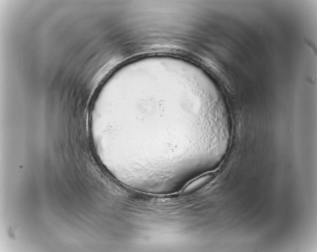 X0000102261275200808151832