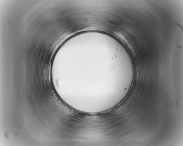 X0000102261276200808151832