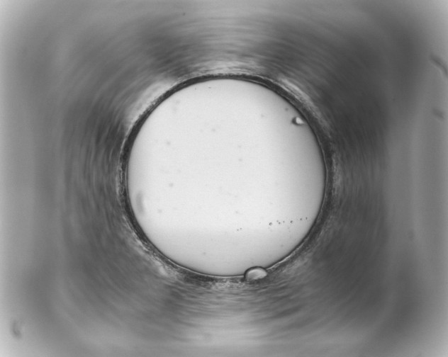 X0000102261277200808151832