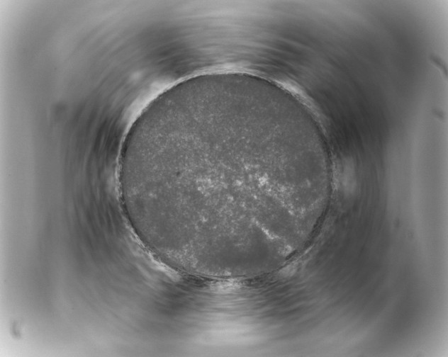 X0000102261278200808151832