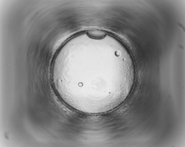 X0000102261279200808151832