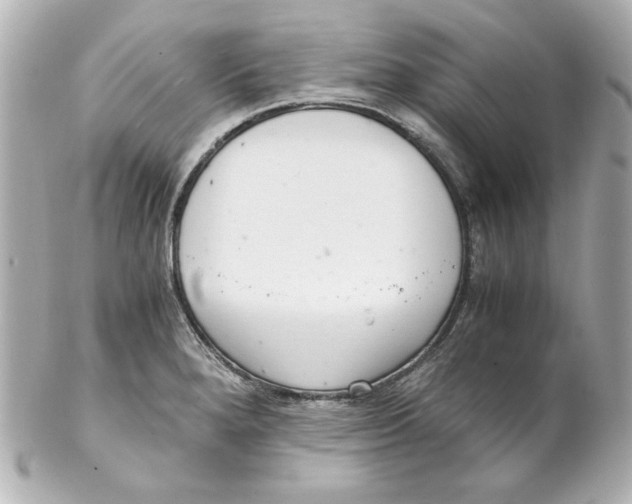 X0000102261280200808151832