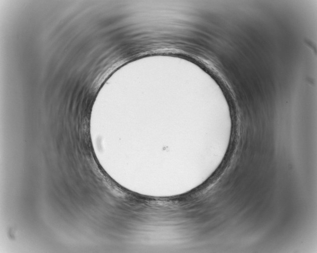 X0000102261281200808151832