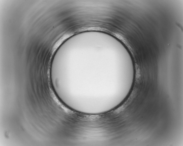 X0000102261282200808151832