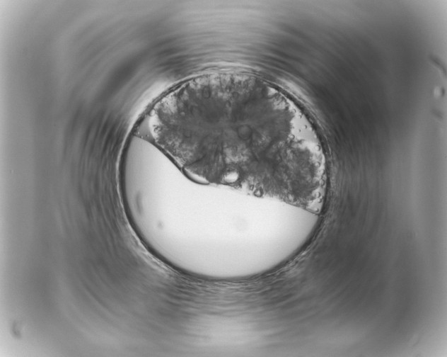 X0000102261283200808151832