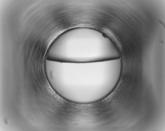 X0000102261284200808151832