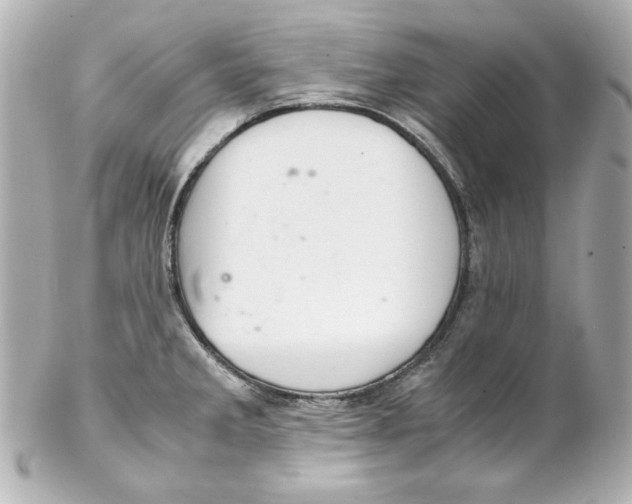 X0000102261285200808151832