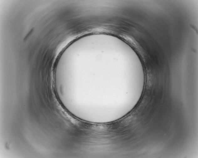 X0000102261286200808151832