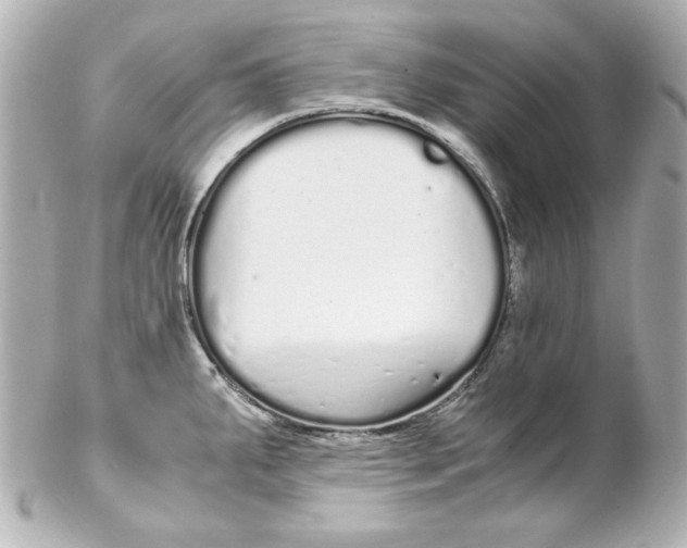 X0000102261287200808151832