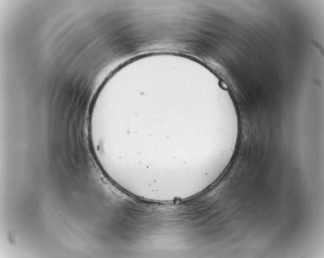 X0000102261288200808151832