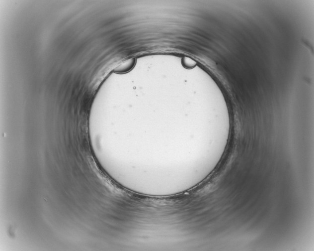 X0000102261289200808151832