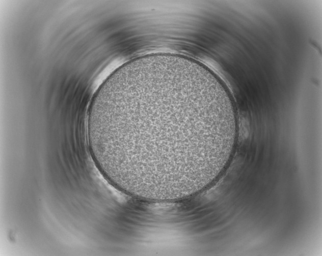 X0000102261290200808151832