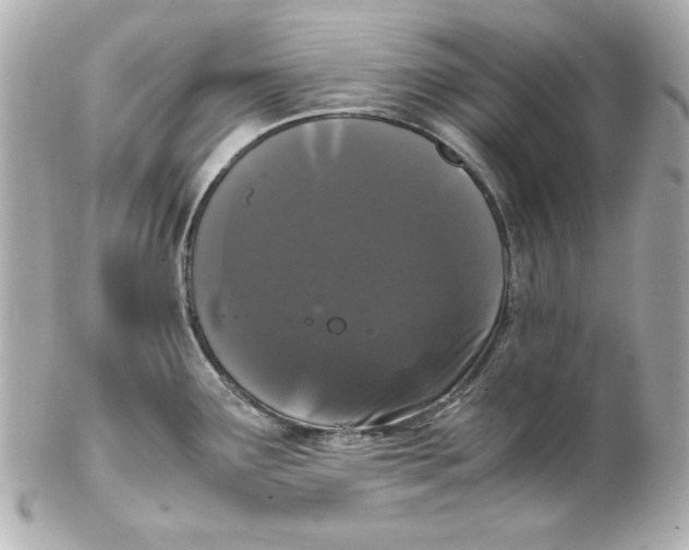 X0000102261291200808151832