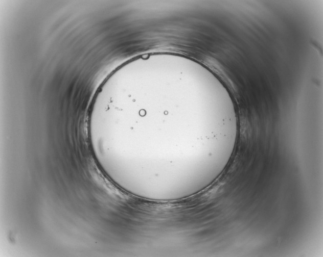 X0000102261292200808151832