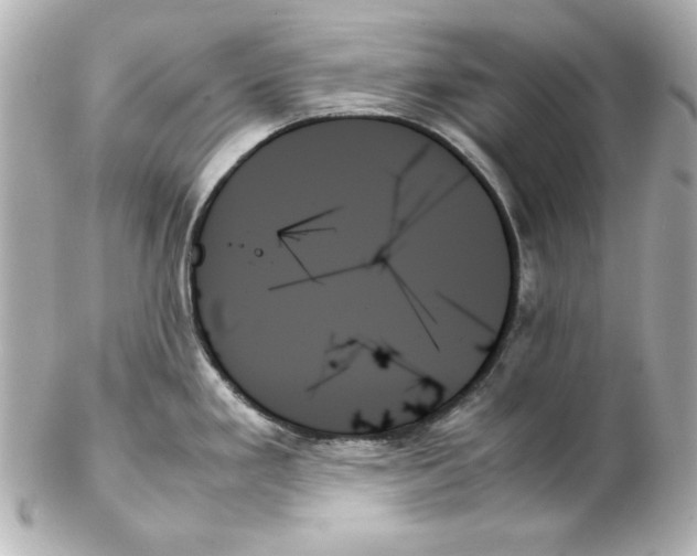 X0000102261293200808151832