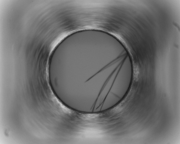 X0000102261294200808151832