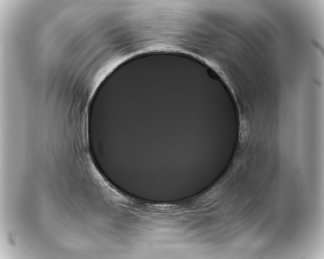 X0000102261295200808151832