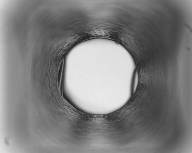 X0000102261297200808151831