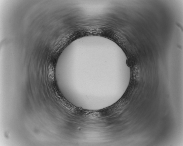 X0000102261298200808151831