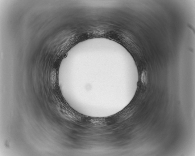 X0000102261299200808151831