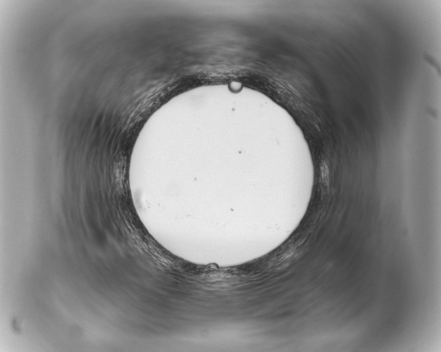 X0000102261300200808151831