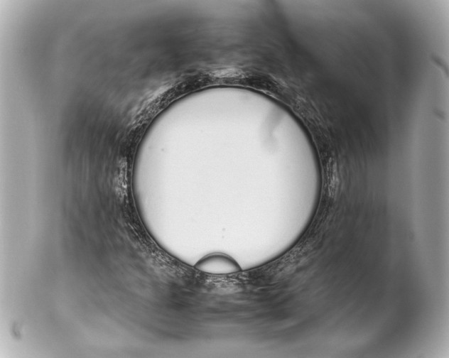 X0000102261301200808151831