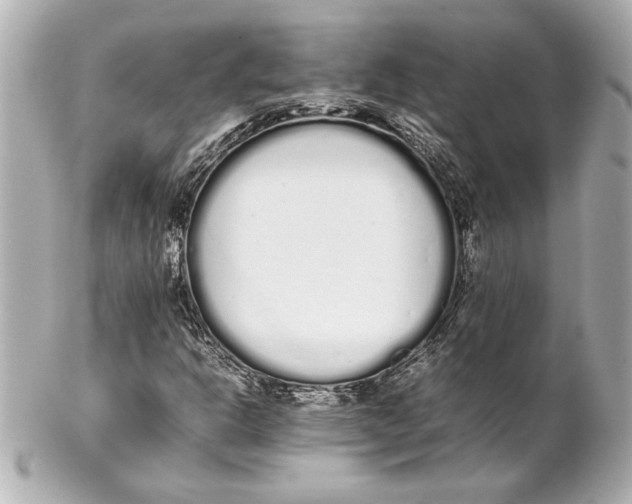 X0000102261302200808151831