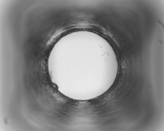 X0000102261304200808151831