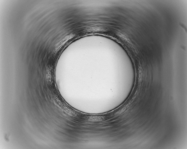 X0000102261305200808151831