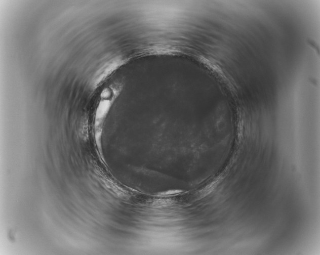 X0000102261306200808151831