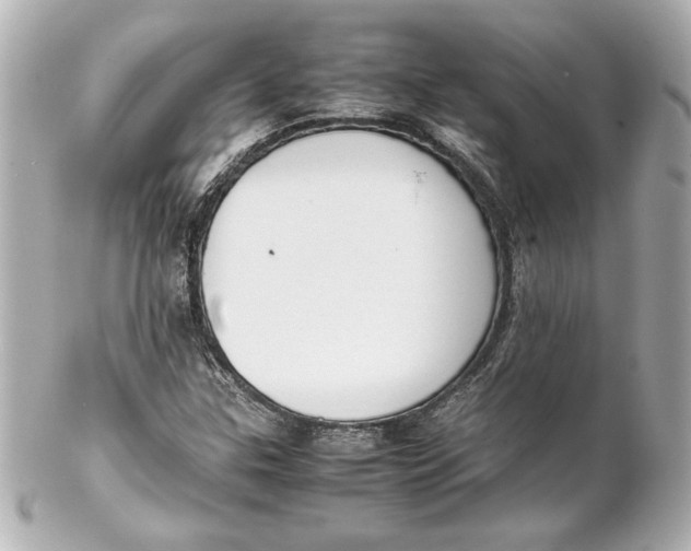 X0000102261307200808151831