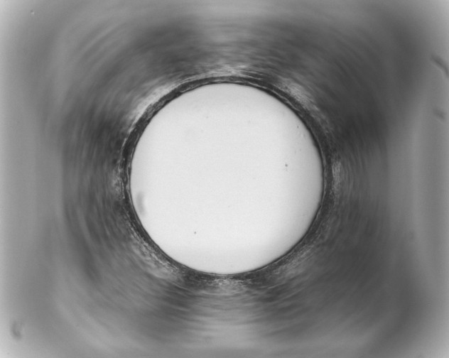 X0000102261308200808151831