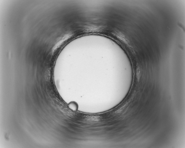 X0000102261309200808151831