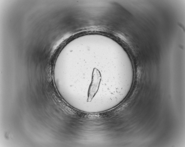 X0000102261310200808151831